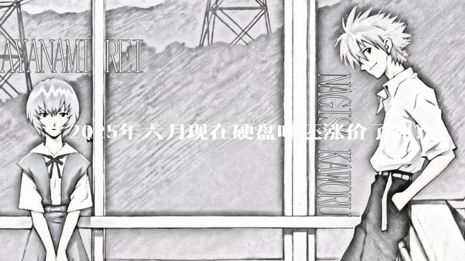 2025年六月现在硬盘咋还涨价了呢？