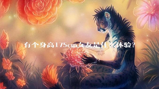 有个身高175cm女友是什么体验？