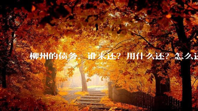 柳州的债务，谁来还？用什么还？怎么还？