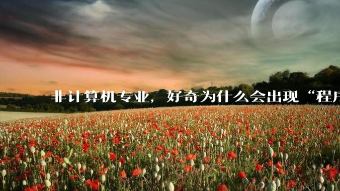非计算机专业，好奇为什么会出现“程序依赖bug运行”的情况？