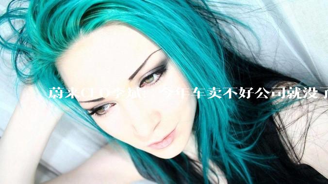 蔚来CEO李斌：今年车卖不好公司就没了_用户_车企_技术