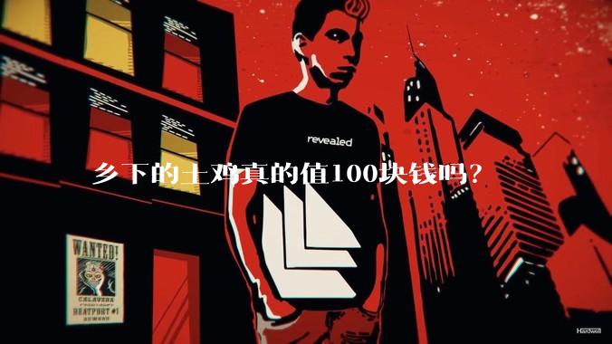 乡下的土鸡真的值100块钱吗？