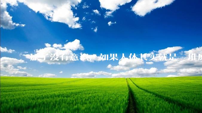 原子没有意识，如果人体其实就是一堆原子组成的，人为什么有意识？
