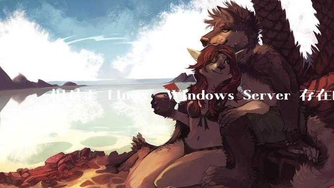 相对于 Linux，Windows Server 存在的意义是什么？