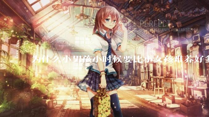 为什么小男孩小时候要比小女孩难养好多?