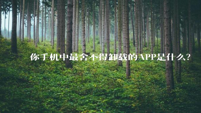 你手机中最舍不得卸载的APP是什么？